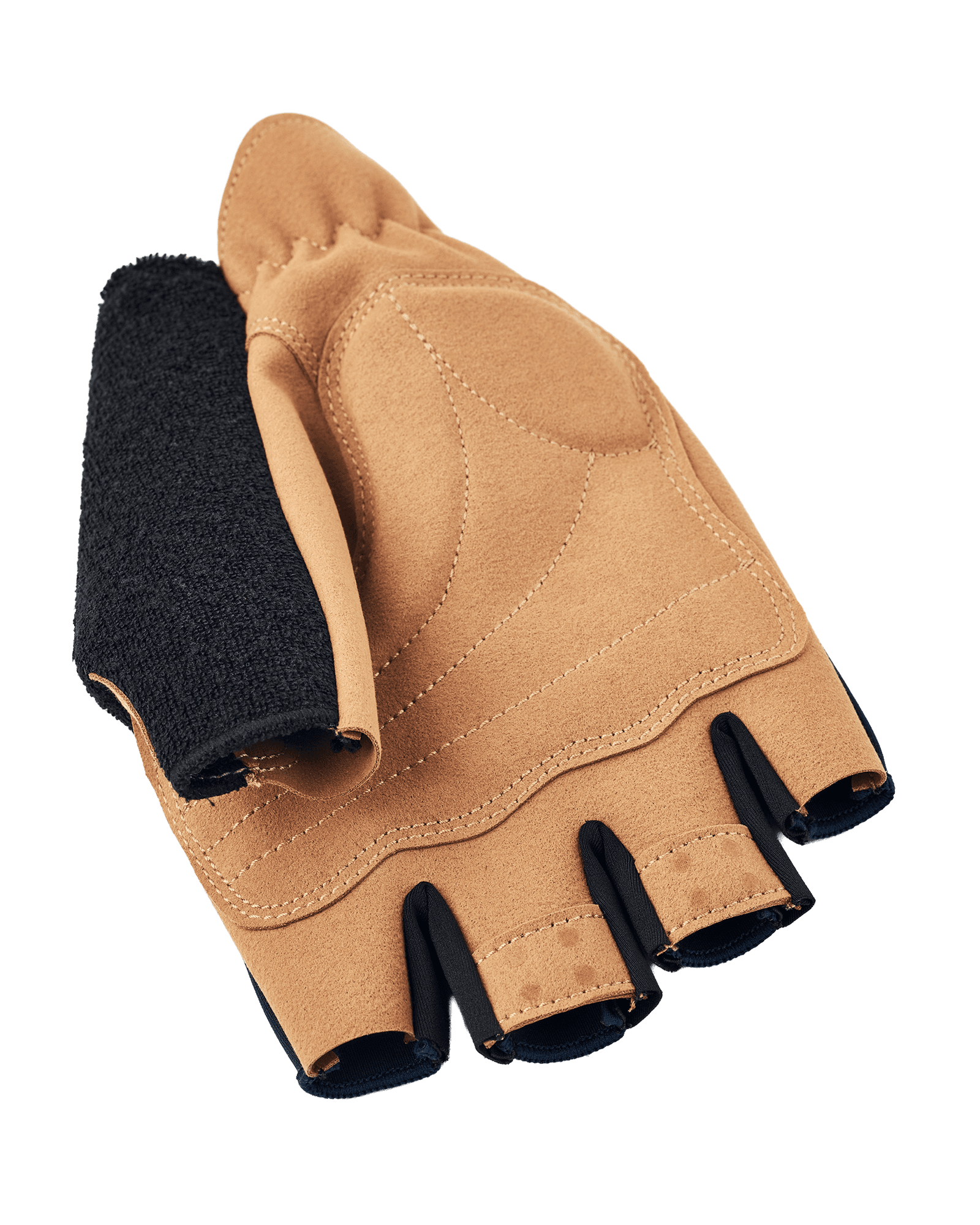 Navy/Tan