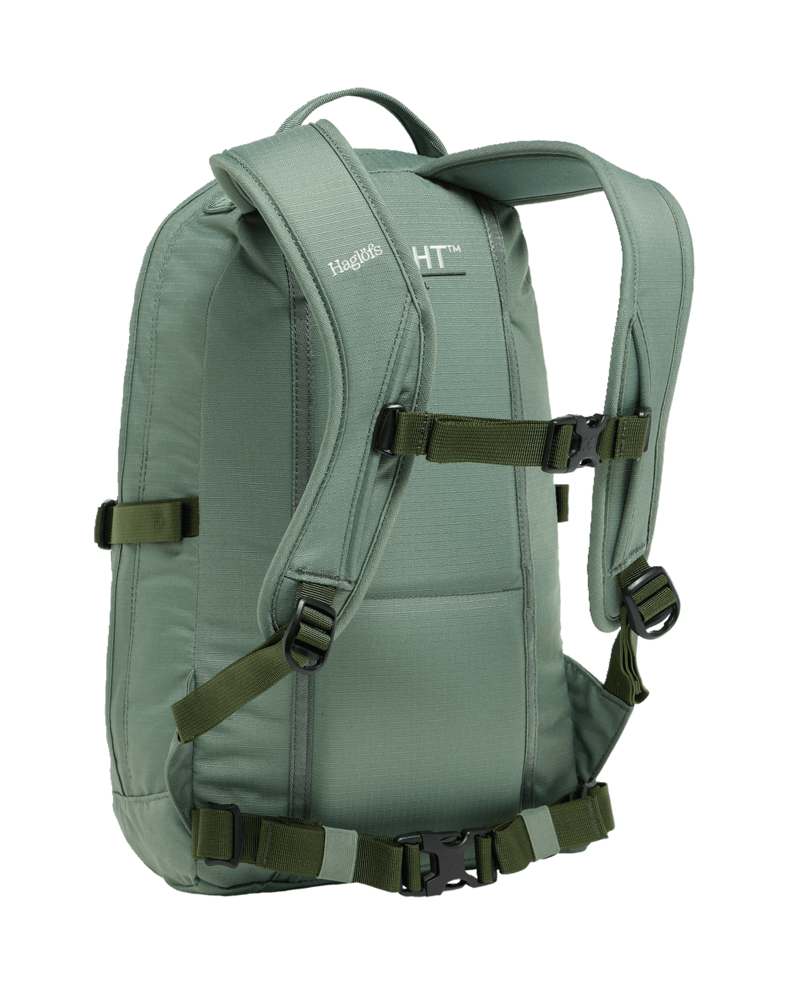 Chlorophyll Green/Seaweed Green