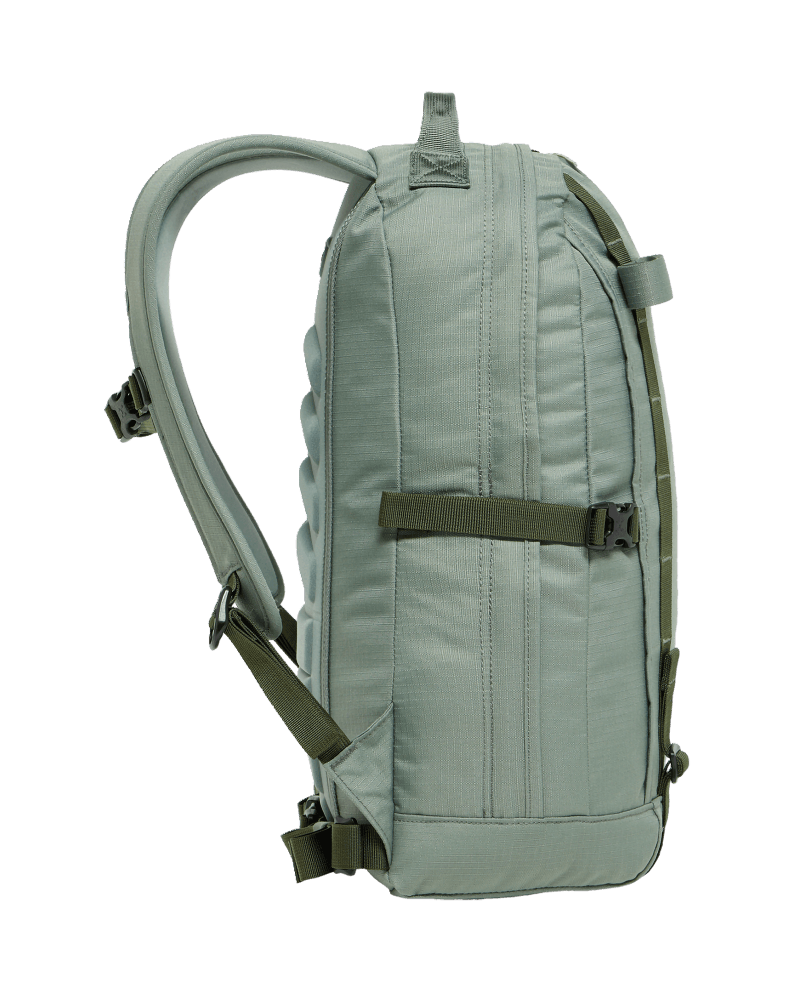 Chlorophyll Green/Seaweed Green