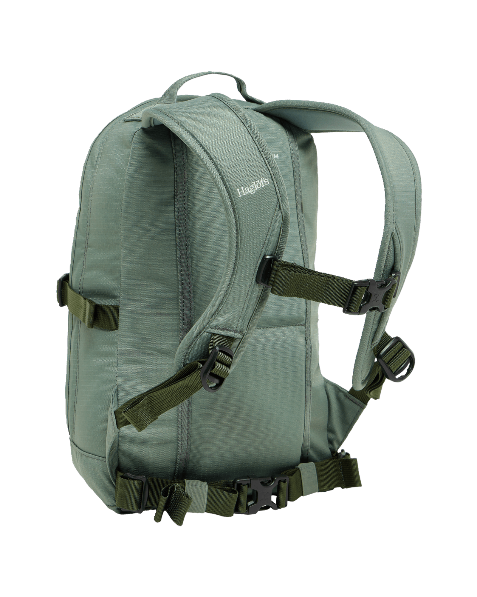 Chlorophyll Green/Seaweed Green