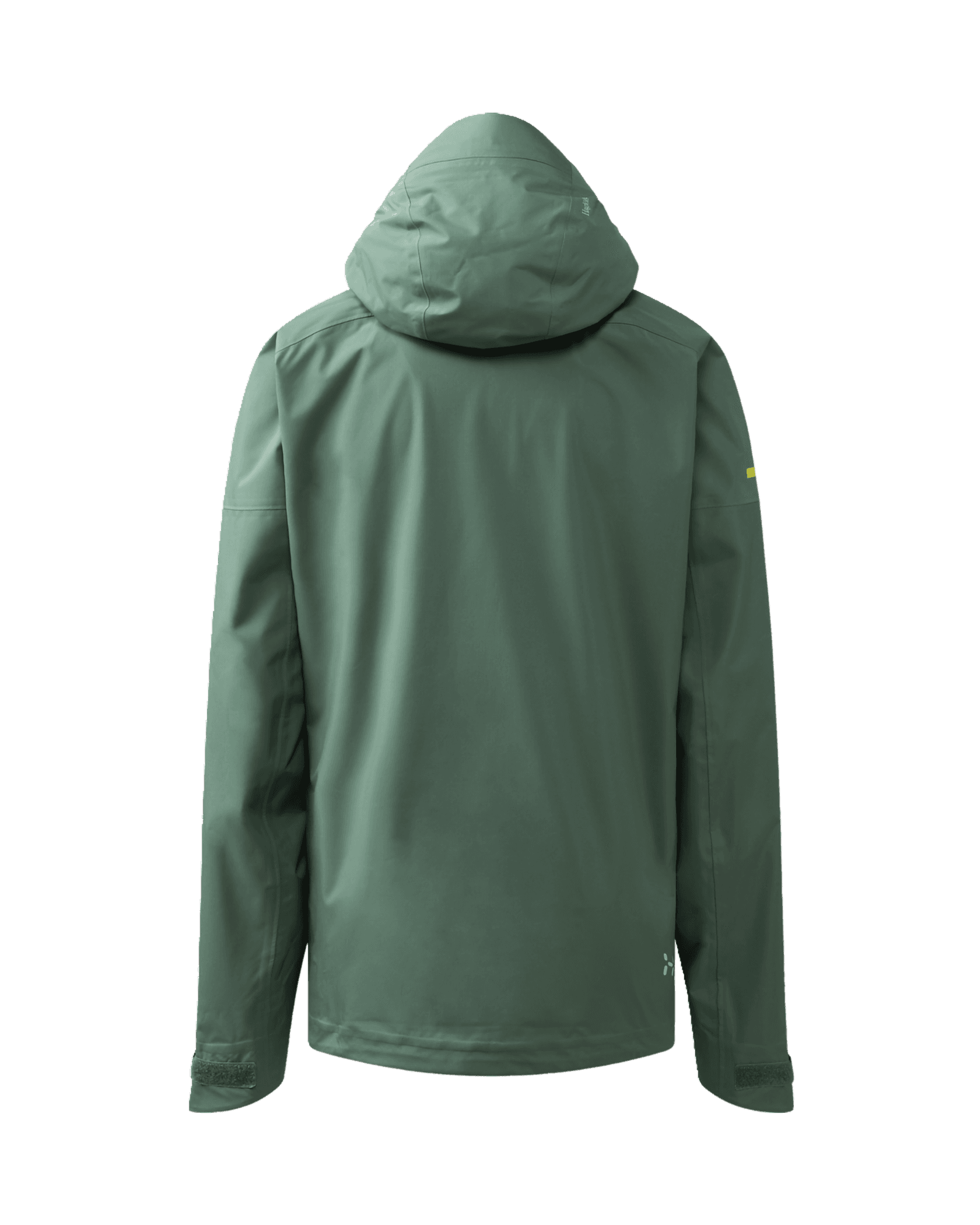 Chlorophyll Green