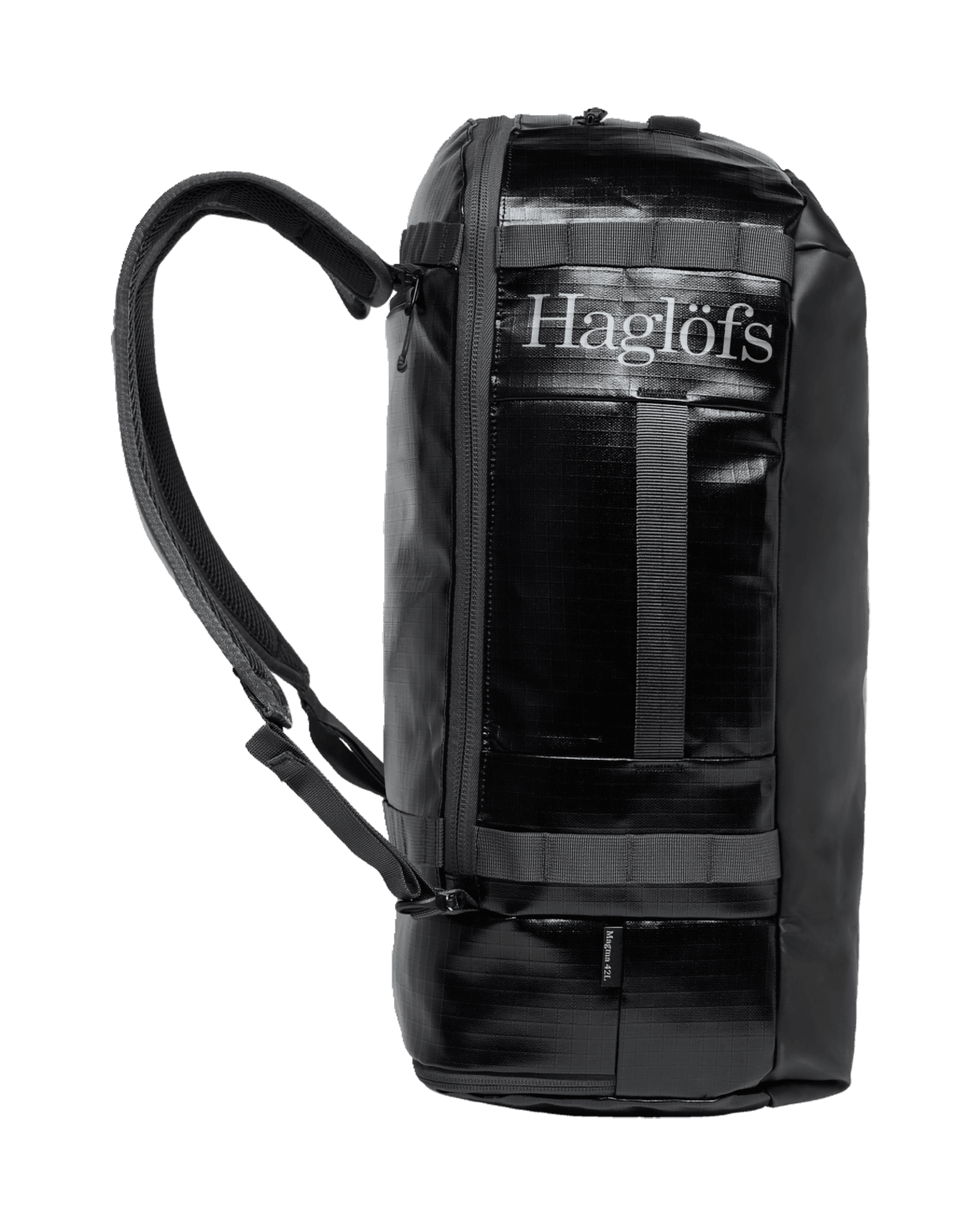 True Black/Magnetite