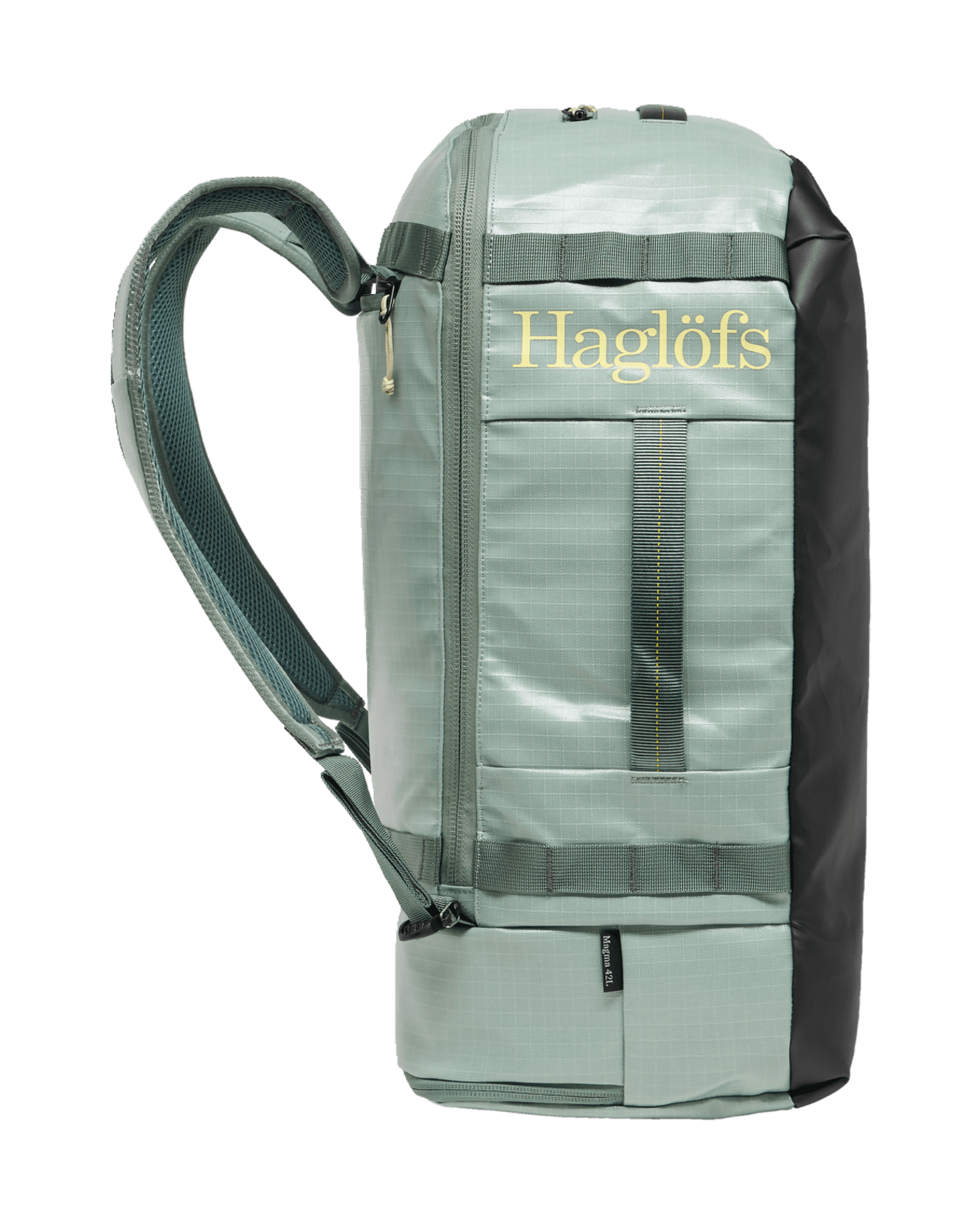 Dew Green/Chlorophyll Green