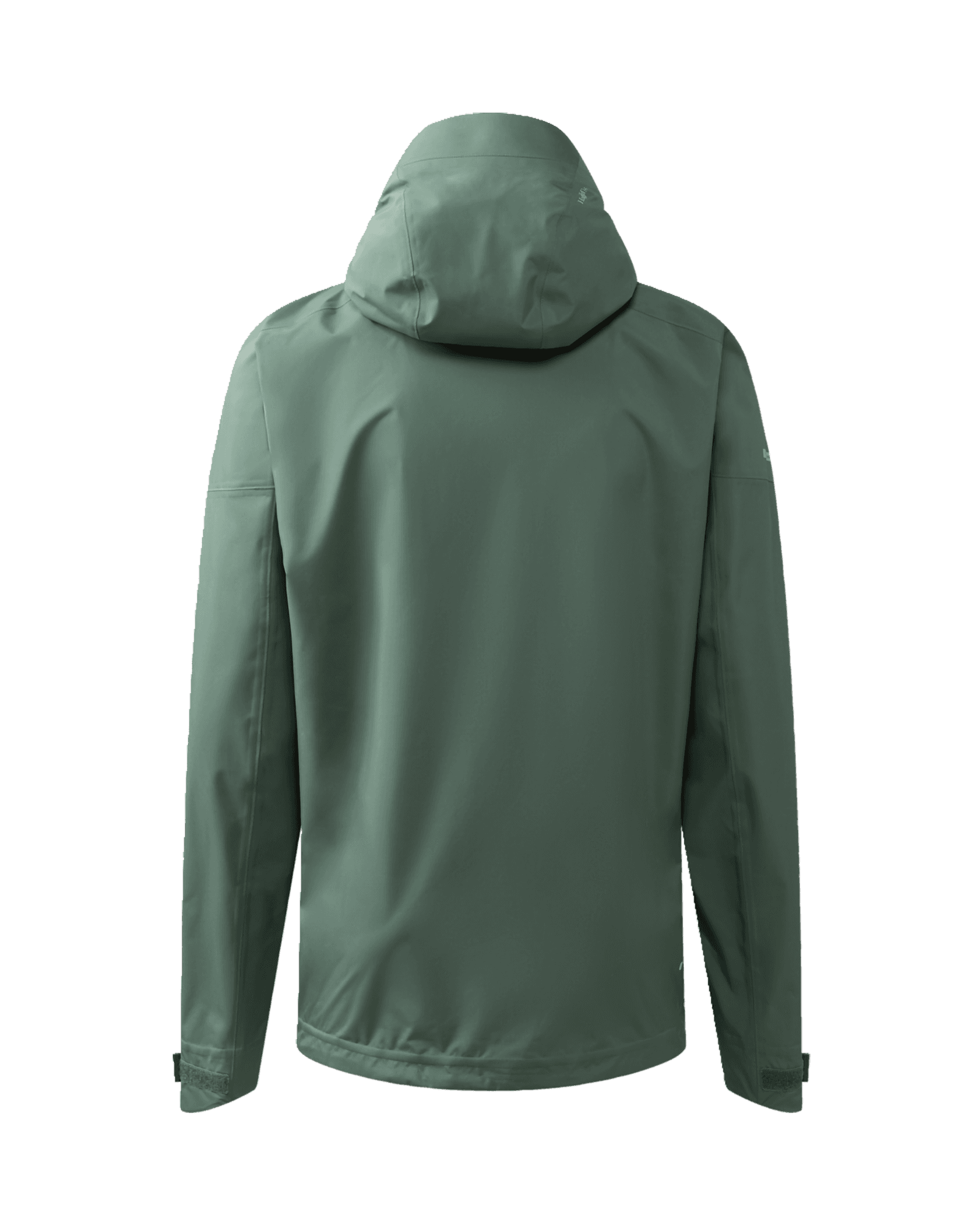 Chlorophyll Green