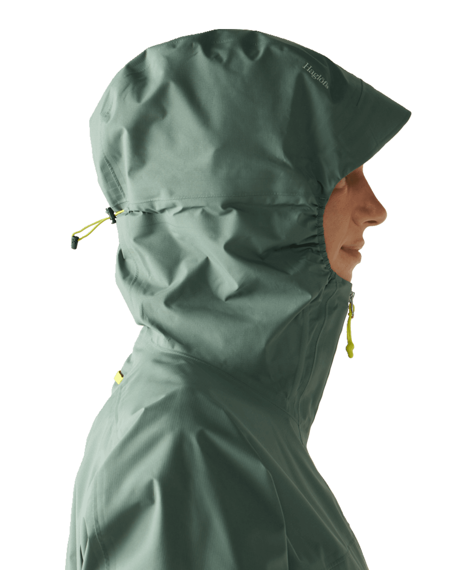 Chlorophyll Green