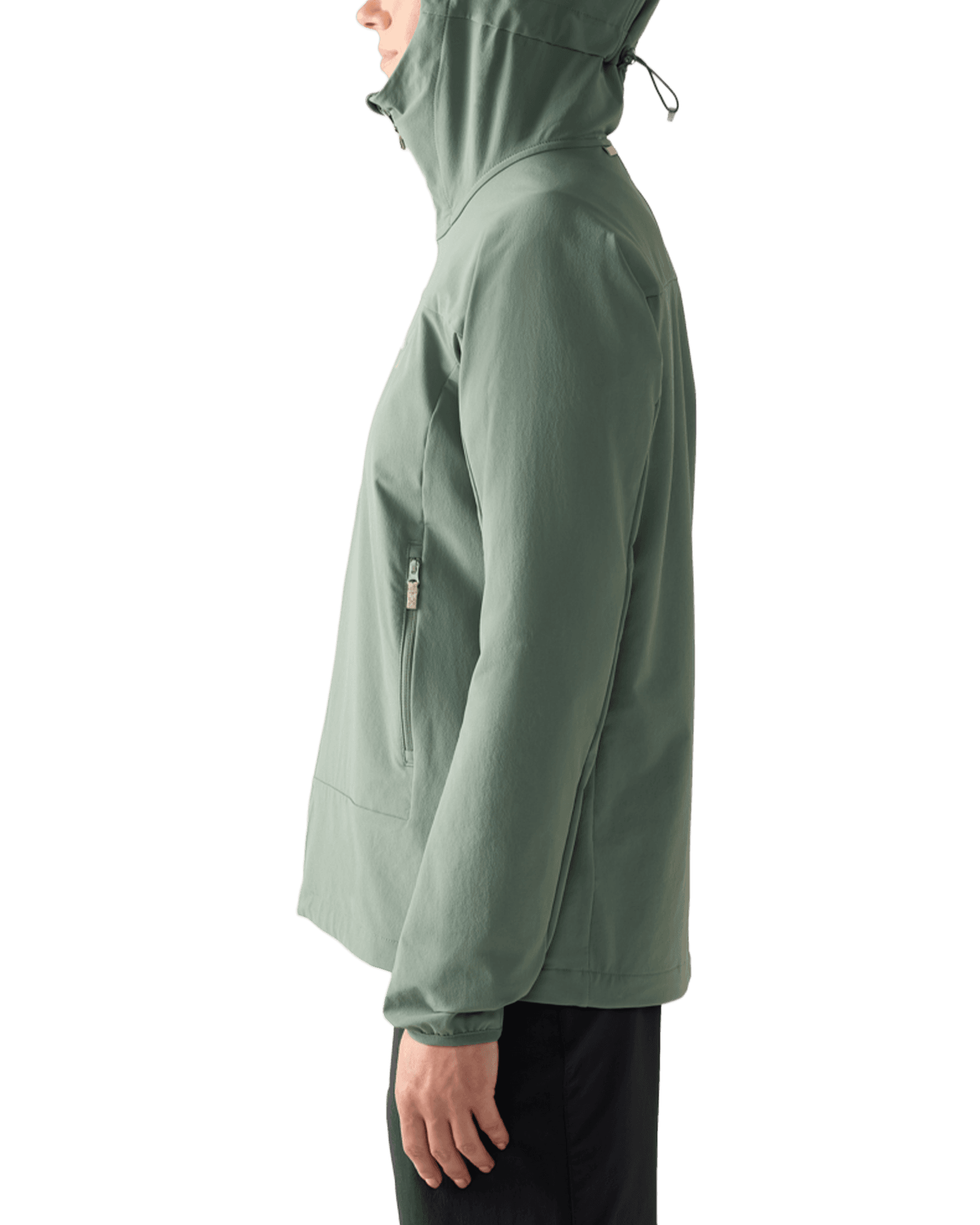 Chlorophyll Green