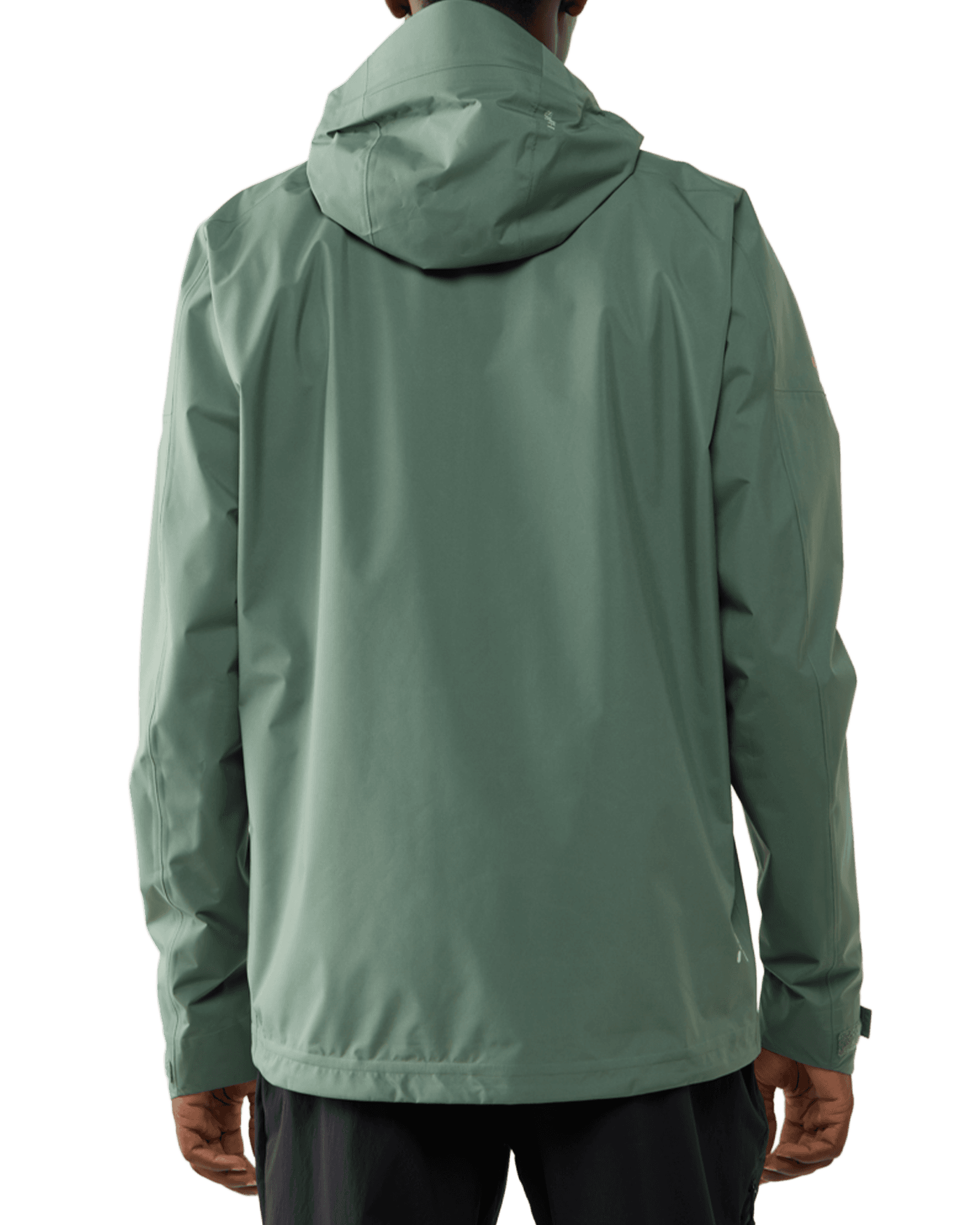 Chlorophyll Green