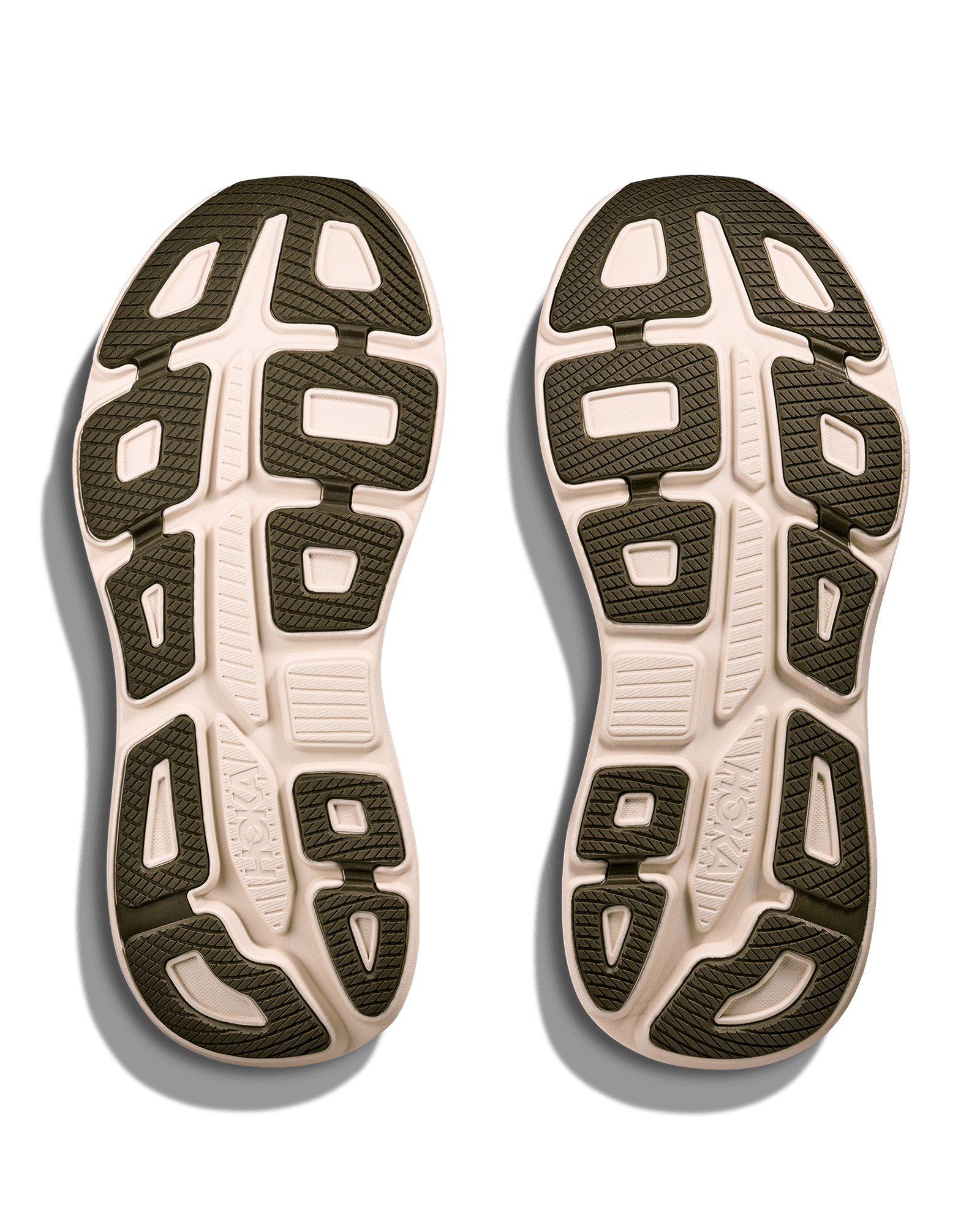 Sea Moss / Eucalyptus