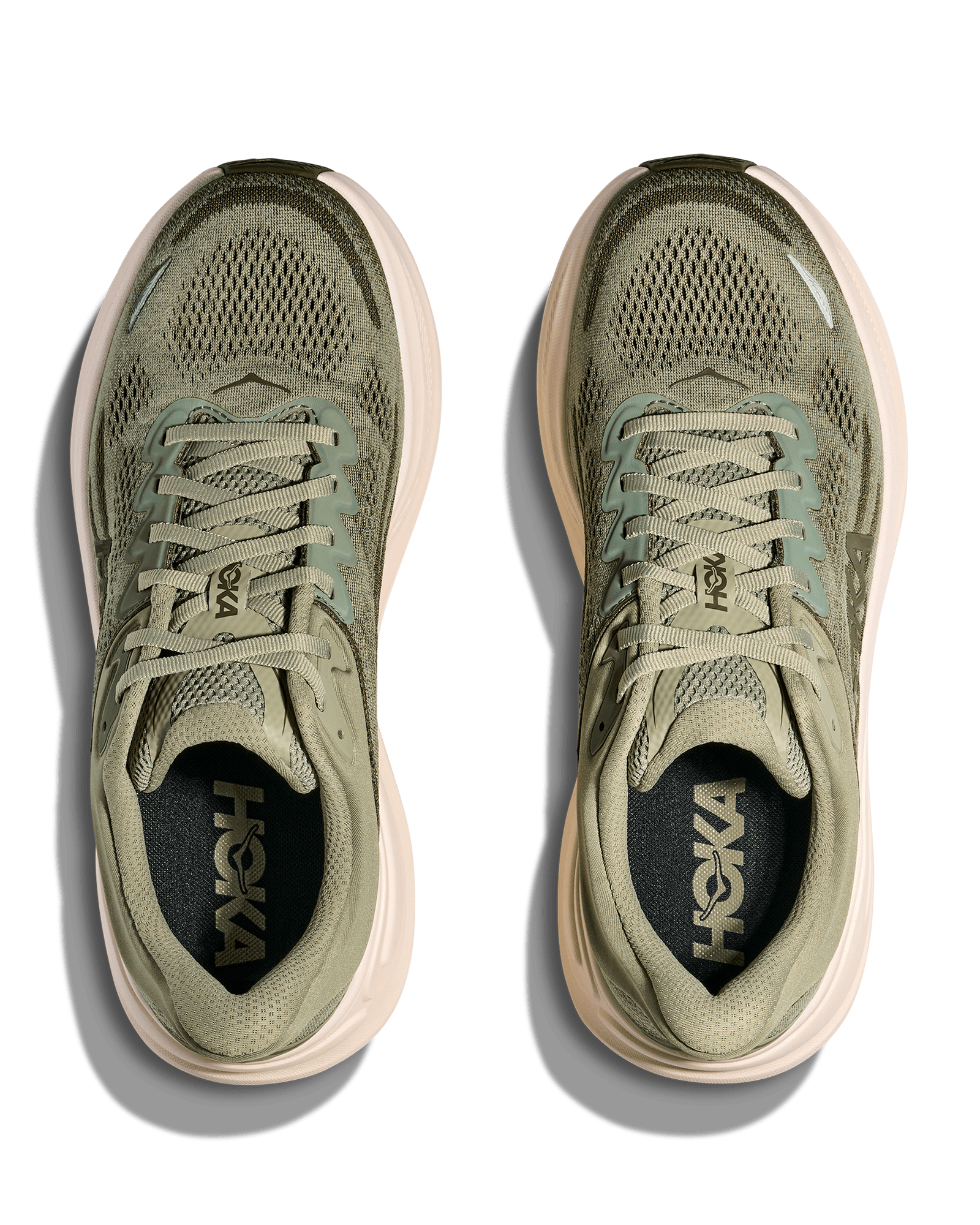 Sea Moss / Eucalyptus