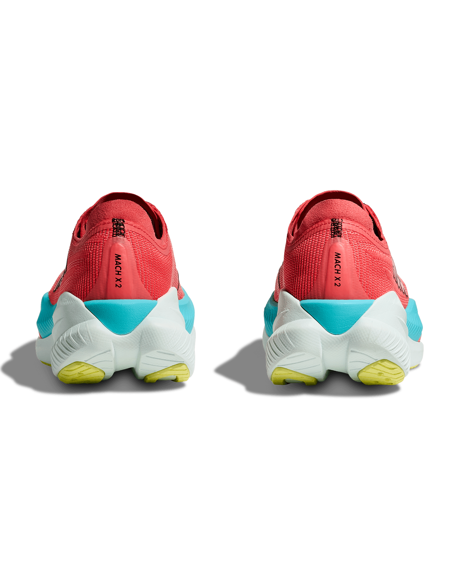 Grapefruit/Electric Coral