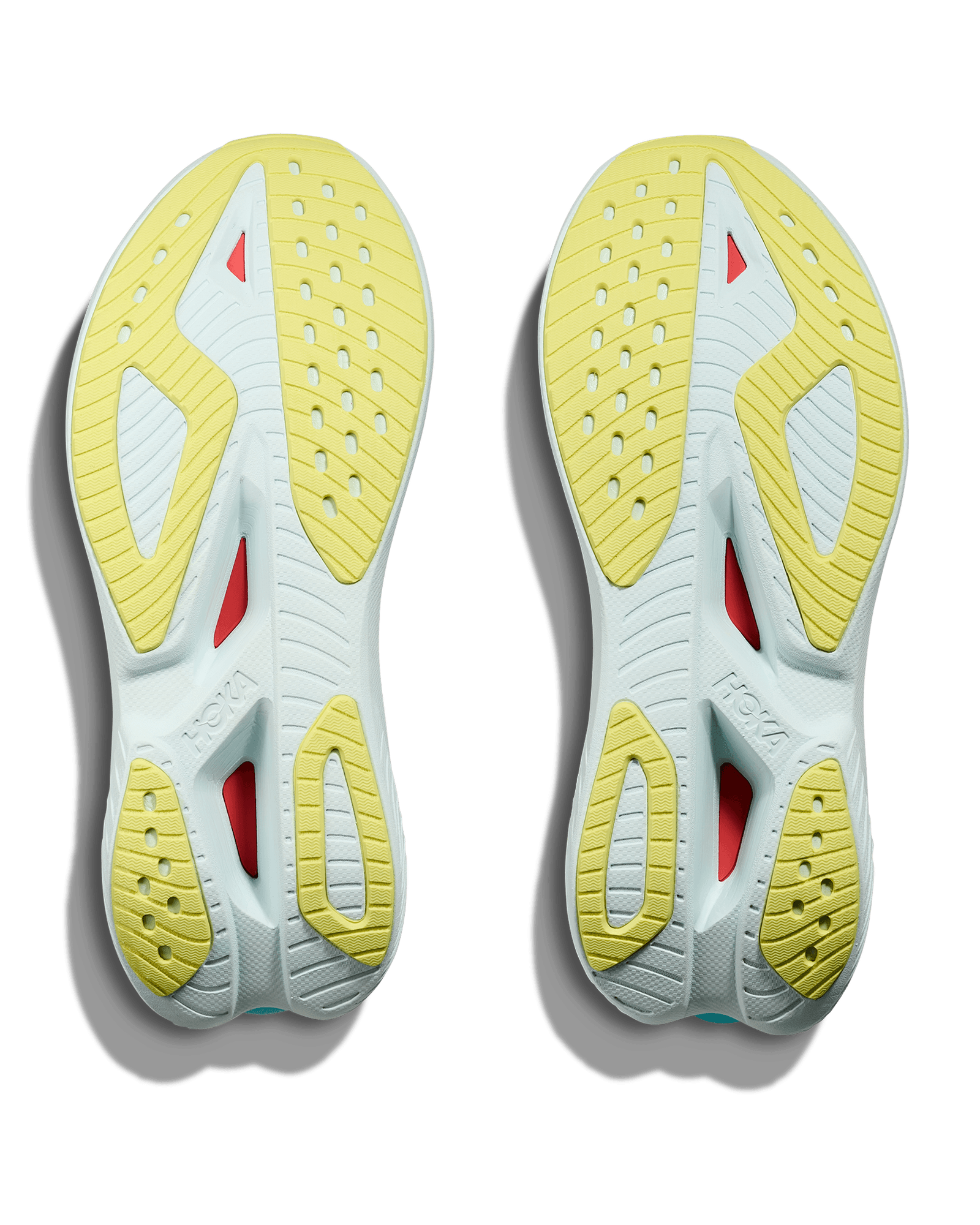 Grapefruit/Electric Coral