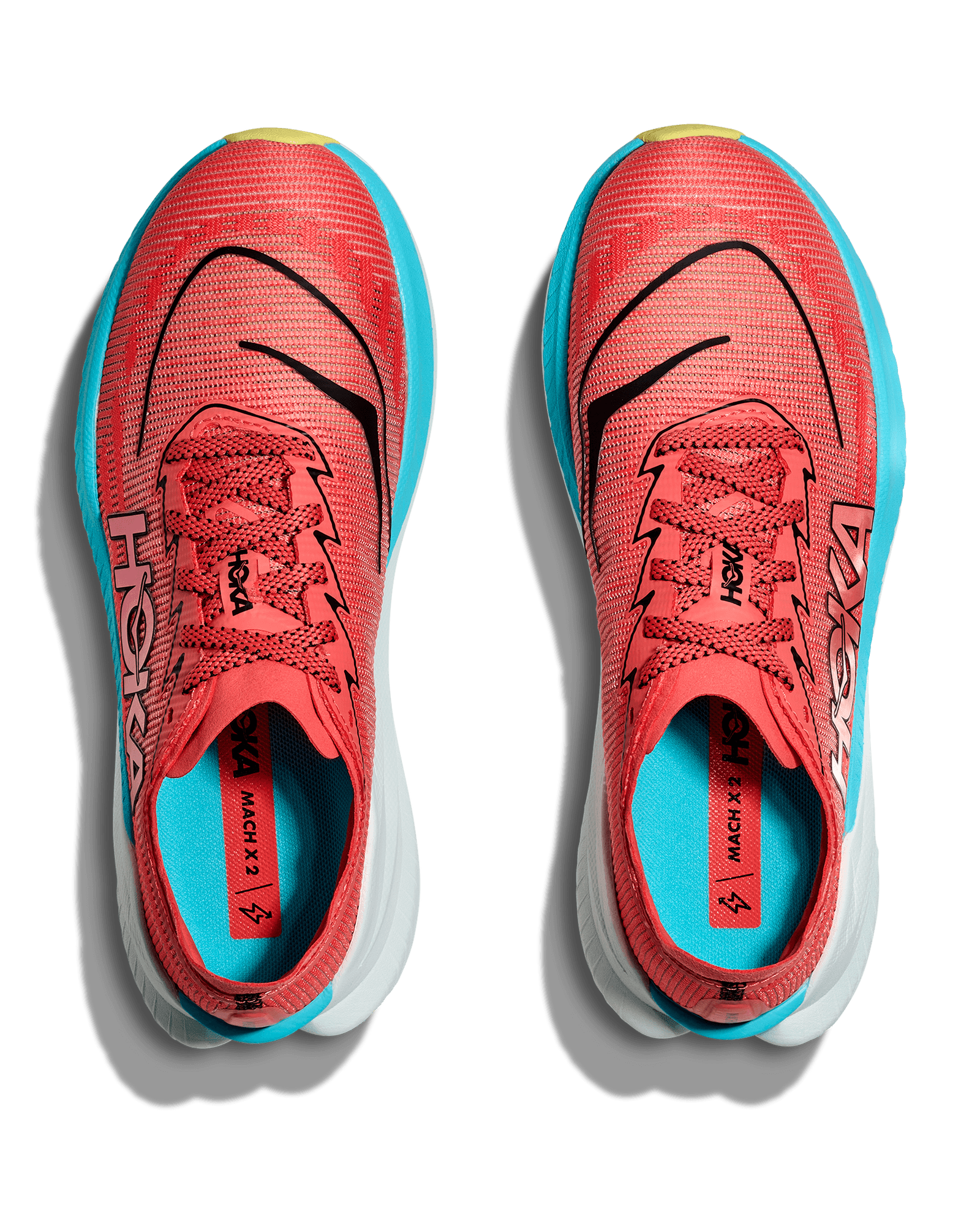 Grapefruit/Electric Coral