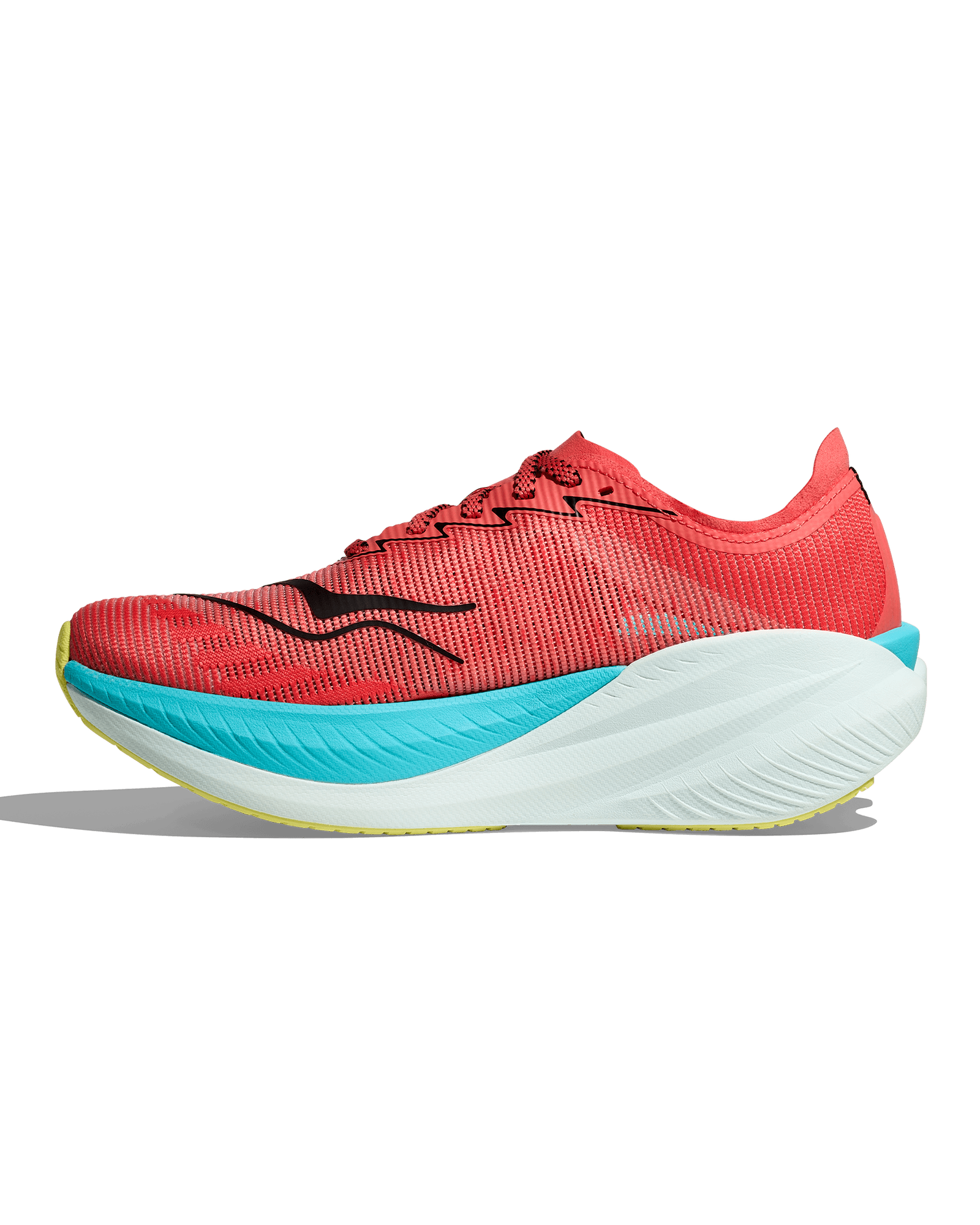 Grapefruit/Electric Coral