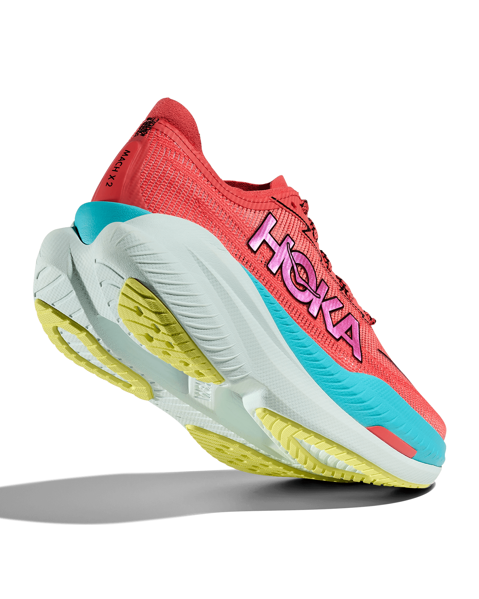 Grapefruit/Electric Coral