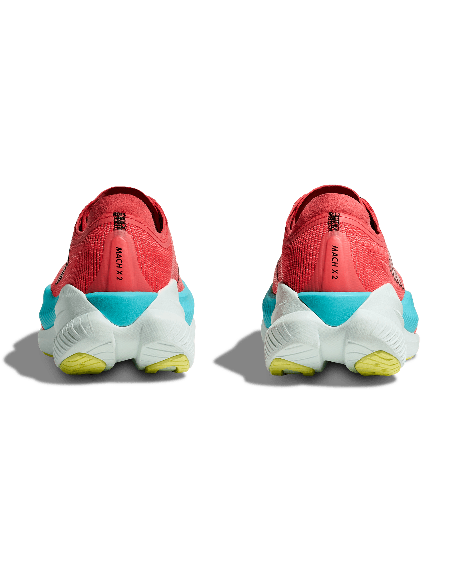 Grapefruit/Electric Coral