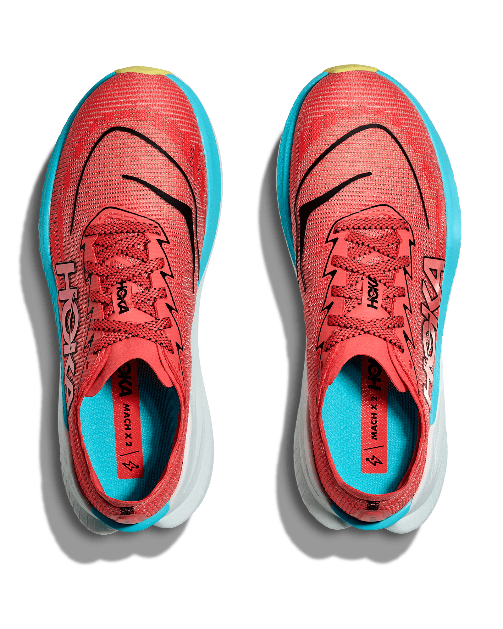 Grapefruit/Electric Coral