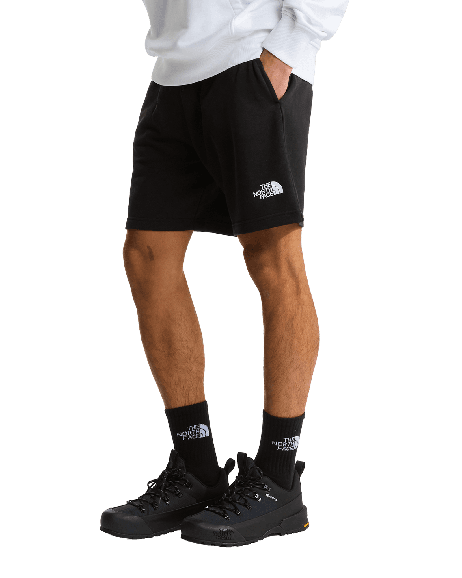 Simple Dome Light Regular Shorts M TNF Black