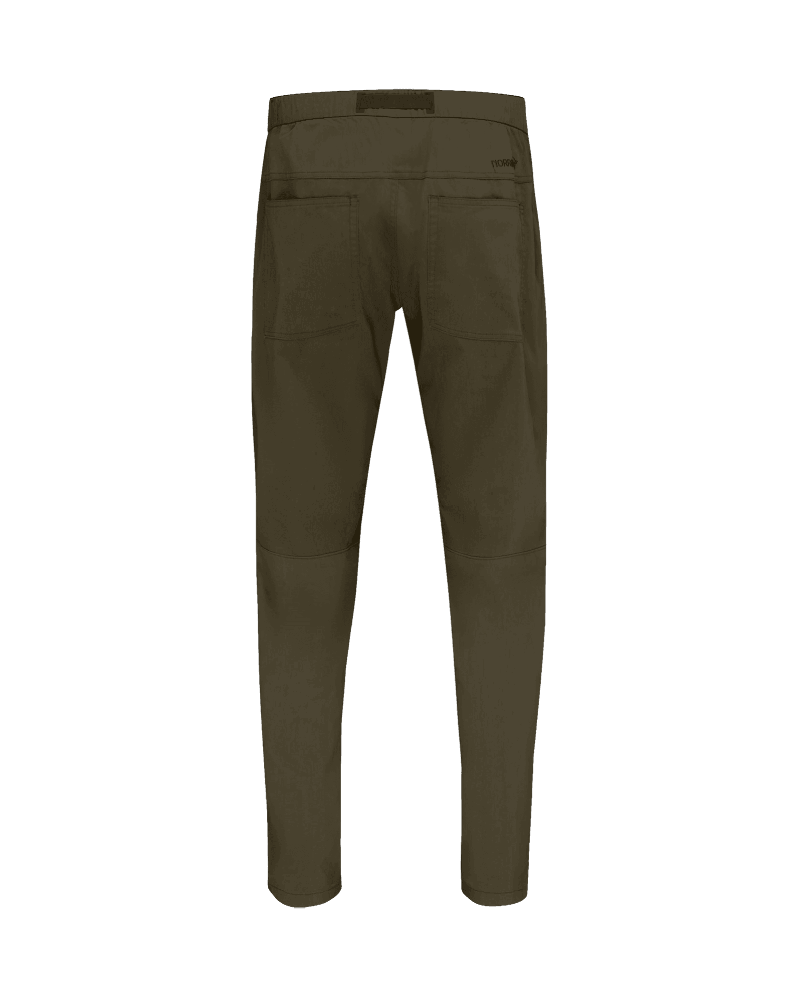 Olive Night