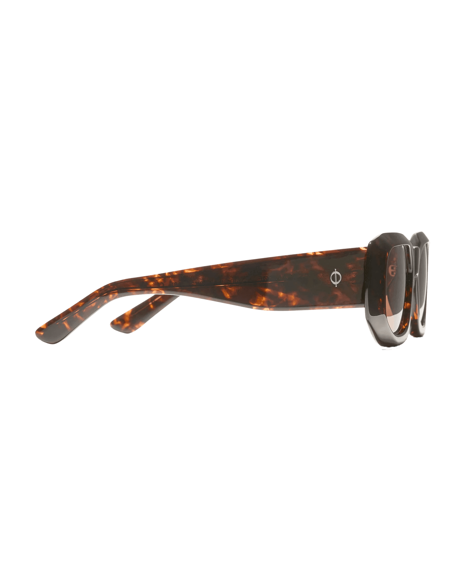 Tortoise Brown
