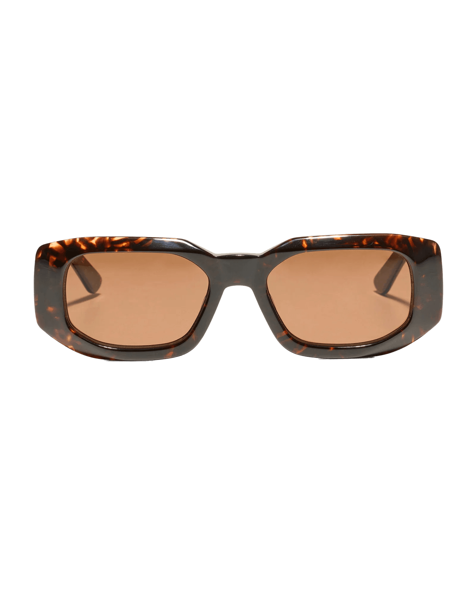 Tortoise Brown