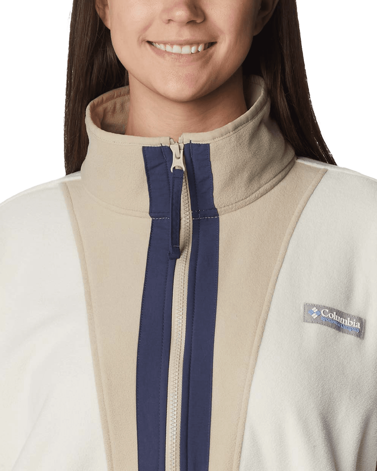 Chalk/Ancient Fossil