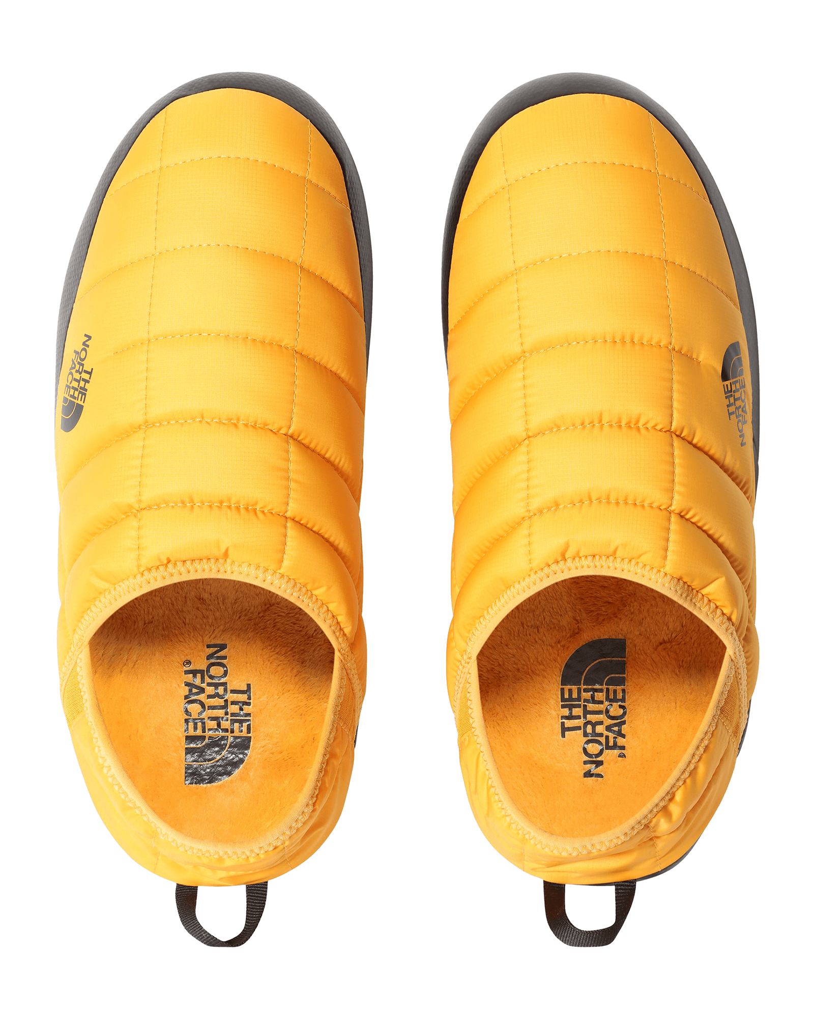 Summit Gold/TNF Black