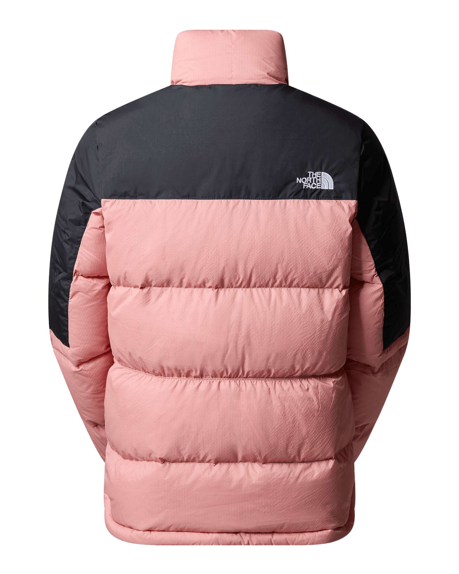 Shady Rose/TNF Black